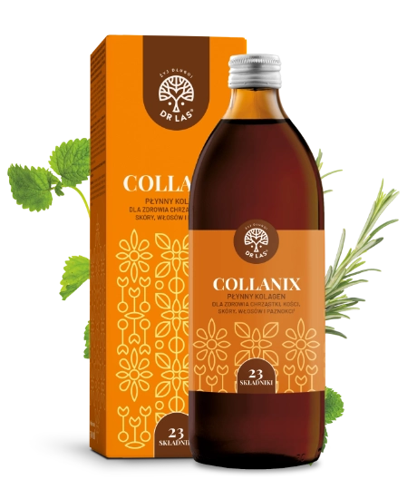 Collanix-new.webp