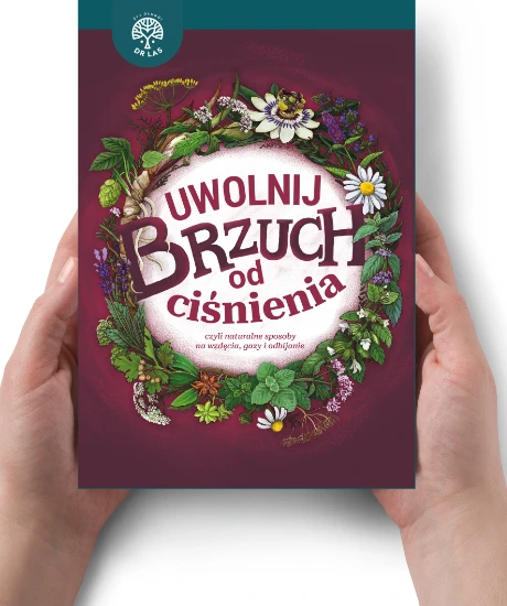 drlas-brzuch.webp
