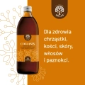 collanix-kolagen-dla-skory-wlosow-i-paznokci.webp