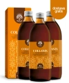 3xcollanix.webp